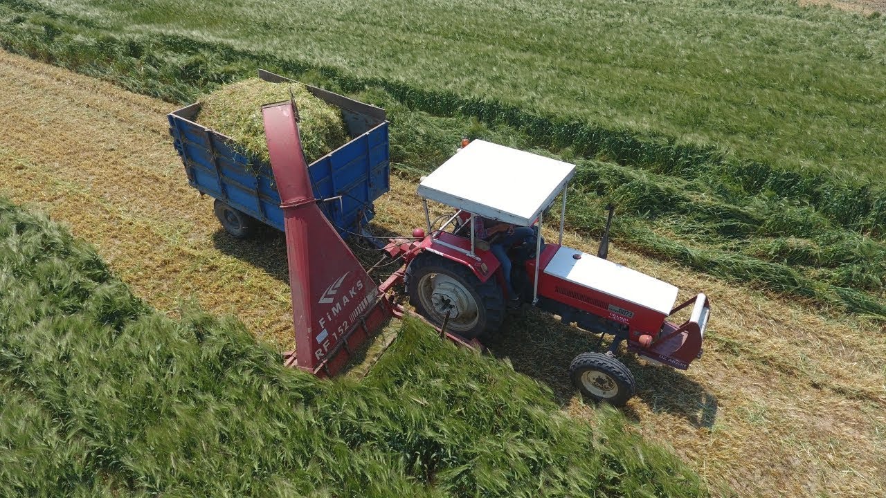 Bu Traktör Bu İşin Altından Nasıl Kalkıyor ? - Arpa Otu Silajı - Fimaks RF 152 & Steyr 8073