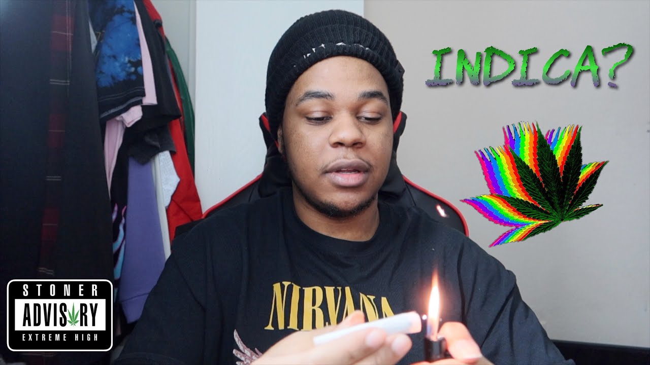 What is Indica??? Is Indica Right For You!? 🤔  +  Joint Hotbox 💨