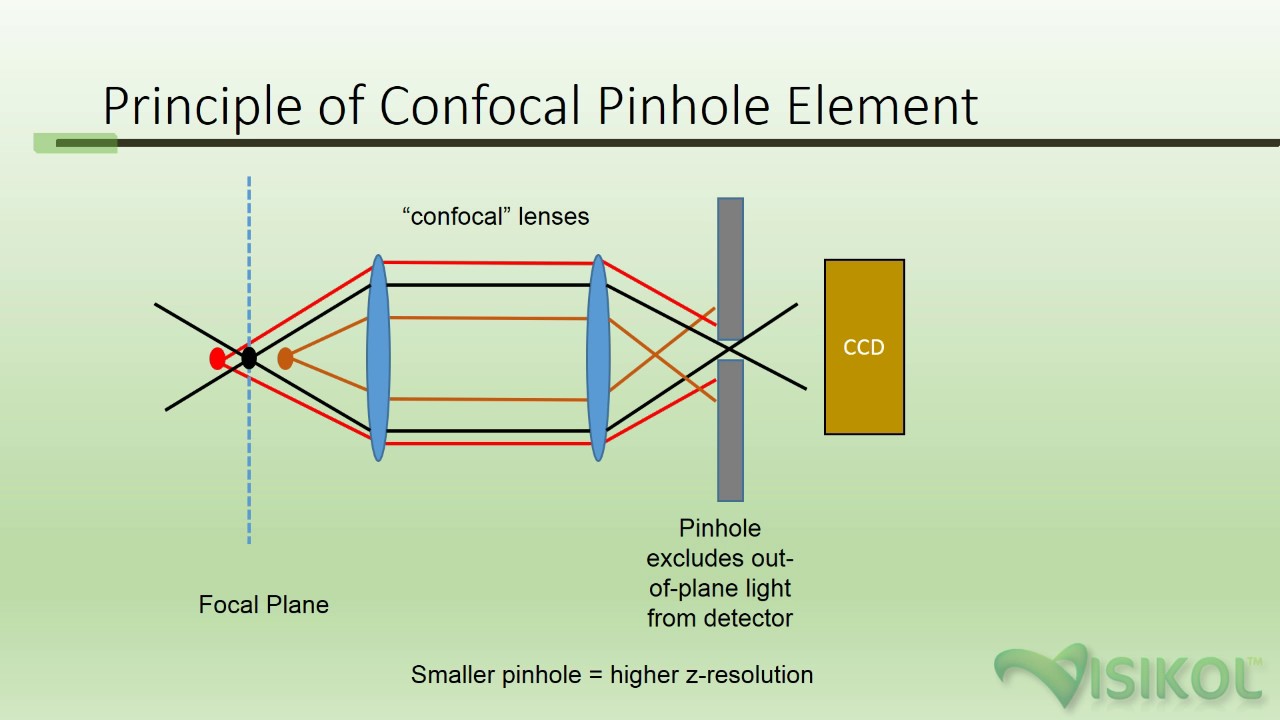 Confocal Microscopy Tutorial