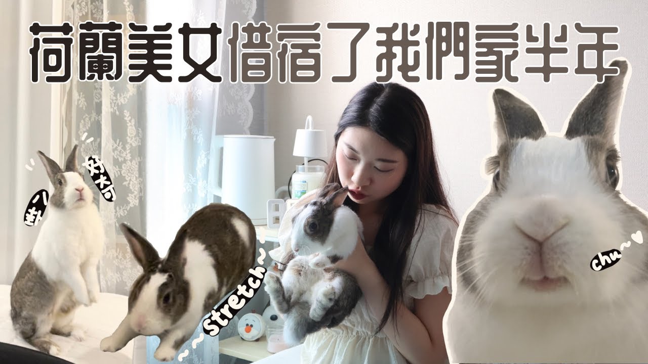 [寵物VLOG🐰] 暫養荷蘭兔半年了~︱屁孩老兔兔︱Airbnb check out︱居家日常︱TSZKI&EUNIX