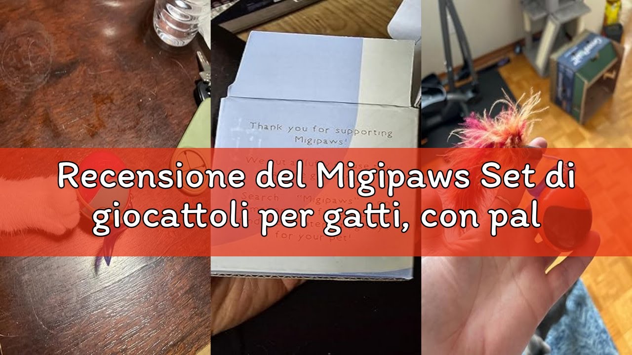 Recensione del Migipaws Set di giocattoli per gatti, con palline che si muovono automaticamente, top