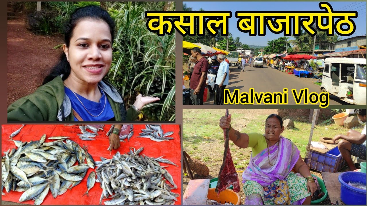कसाल बाजारपेठ। Kasal Bazar। #kasal #sindhudurg #bazar #nlp #malvanivlog