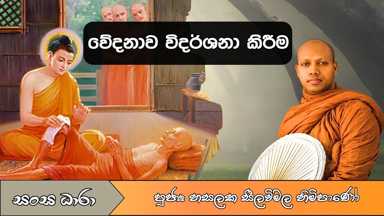 වේදනාව විදර්ශනා කිරීම (Ven.Hasalaka seelavimala thero) Sangha Dhara - සංඝ ධාරා