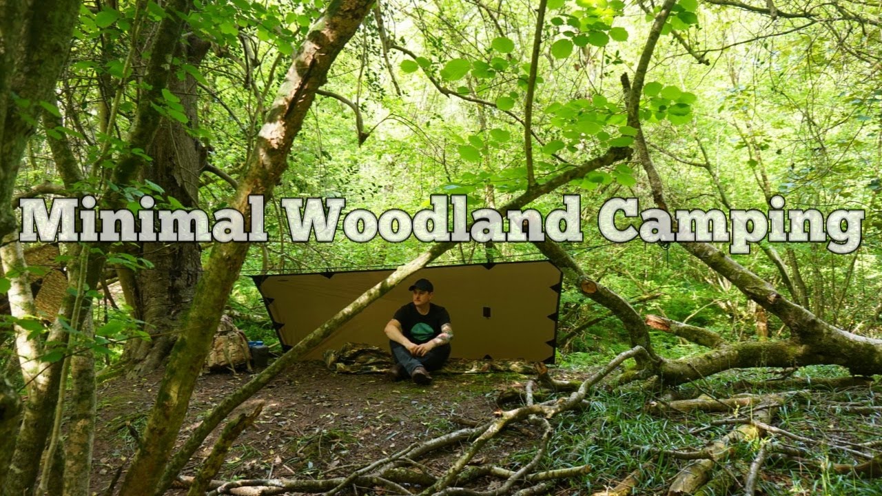 Wild Woodland Camping & Relaxing