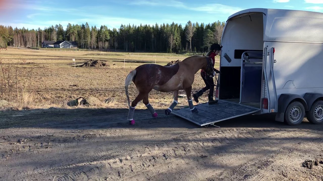 Gr&ouml;nt kort