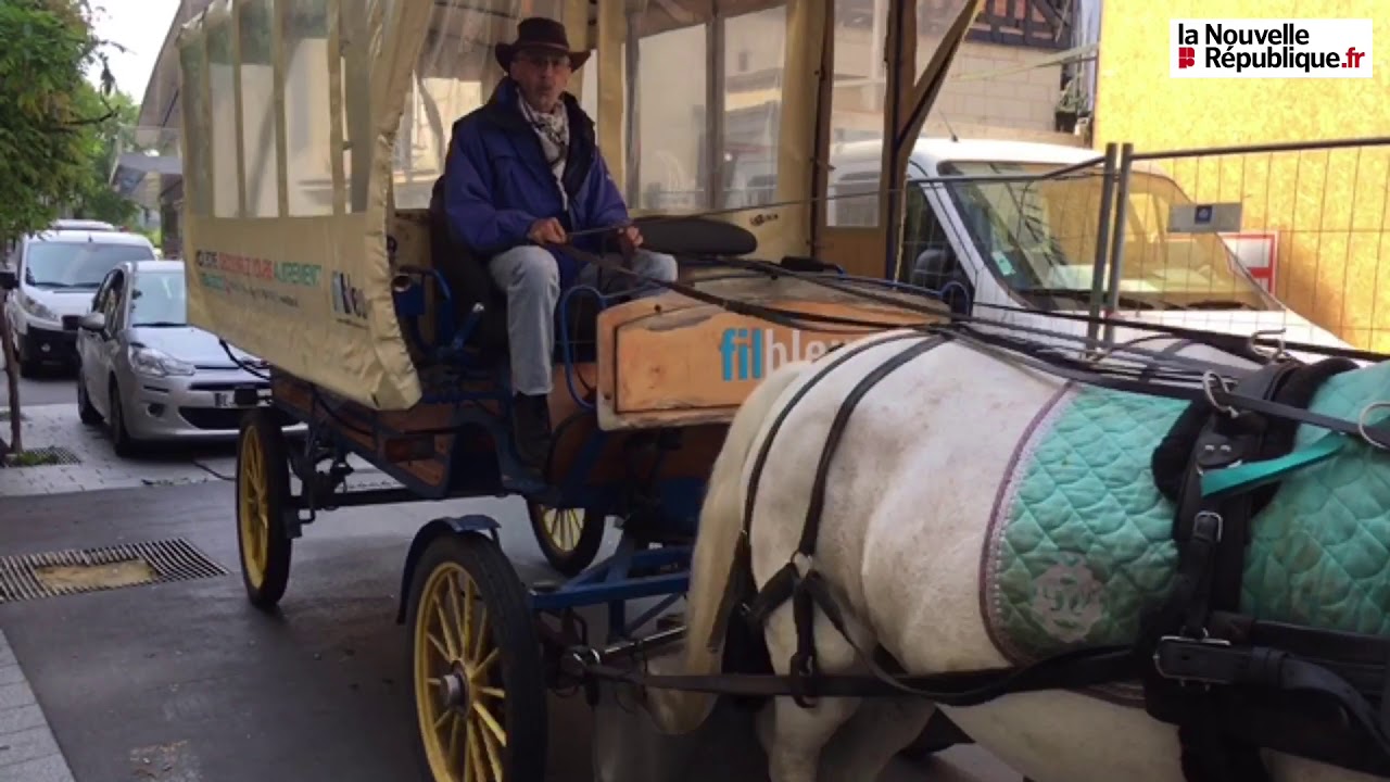 VIDÉO. A Tours, un service de transport en calèche dans le centre-ville
