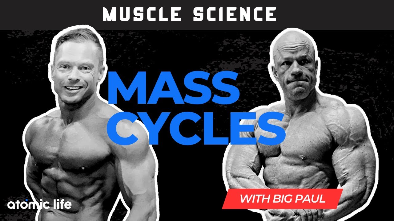 Muscle Science Mass Cycles