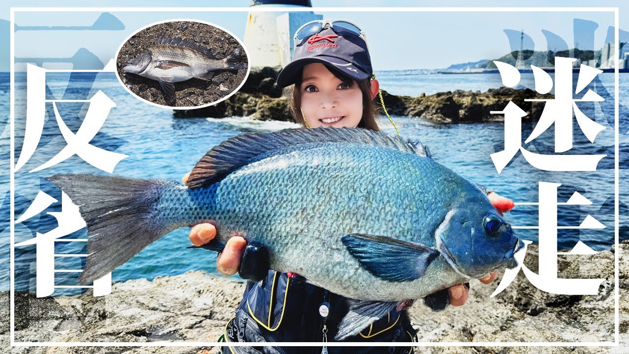 【グレ】混みあった人気釣場！どう攻めたら良いの!?【チヌ】