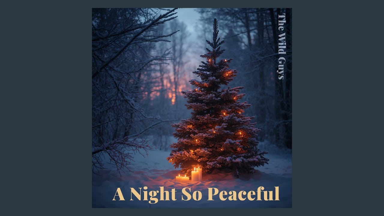 A Night So Peaceful (Audio) - The Wild Guys
