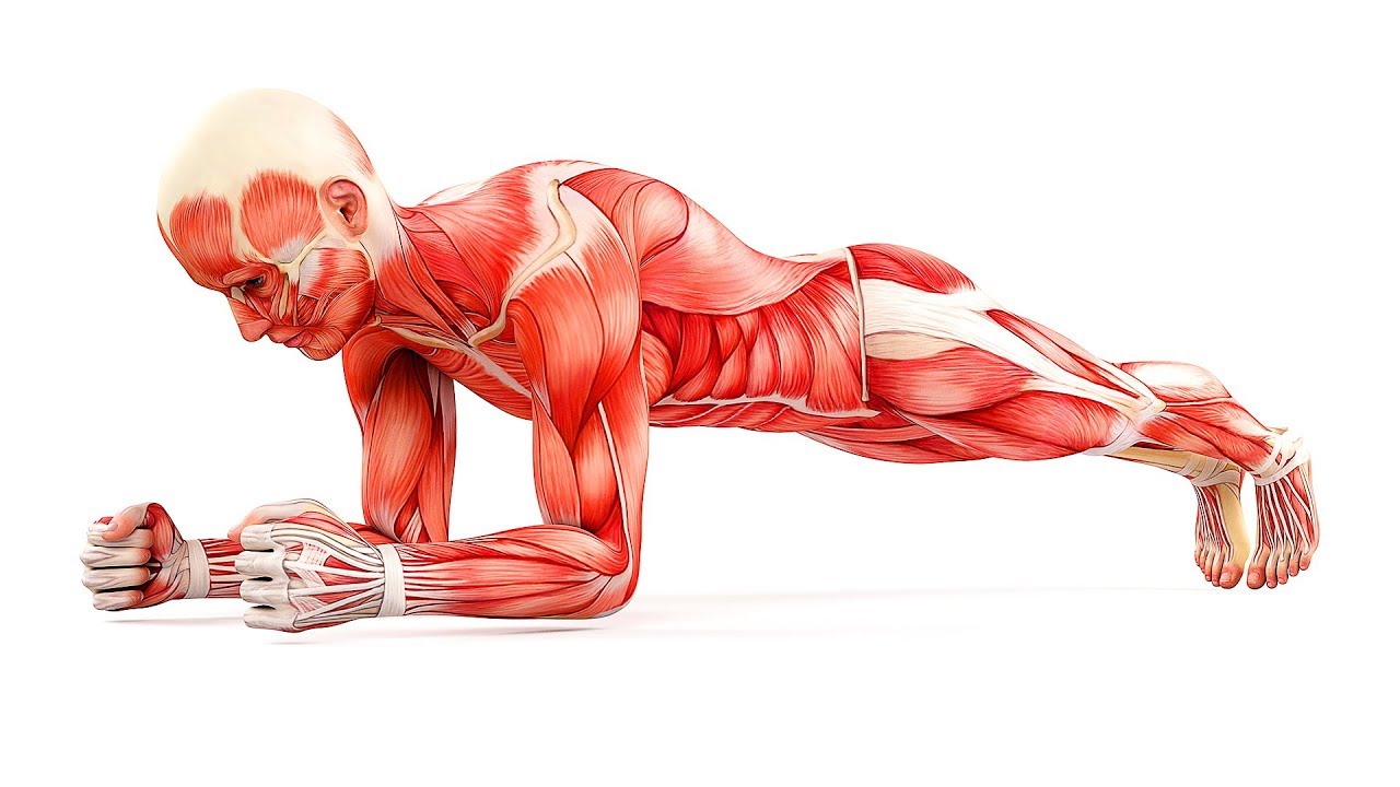 15 Common Workout Mistakes Every Beginner Makes
