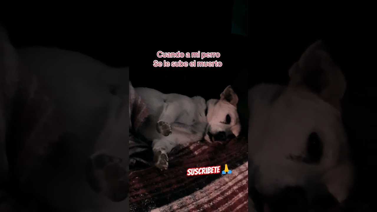 Yo haciéndome el dormido 