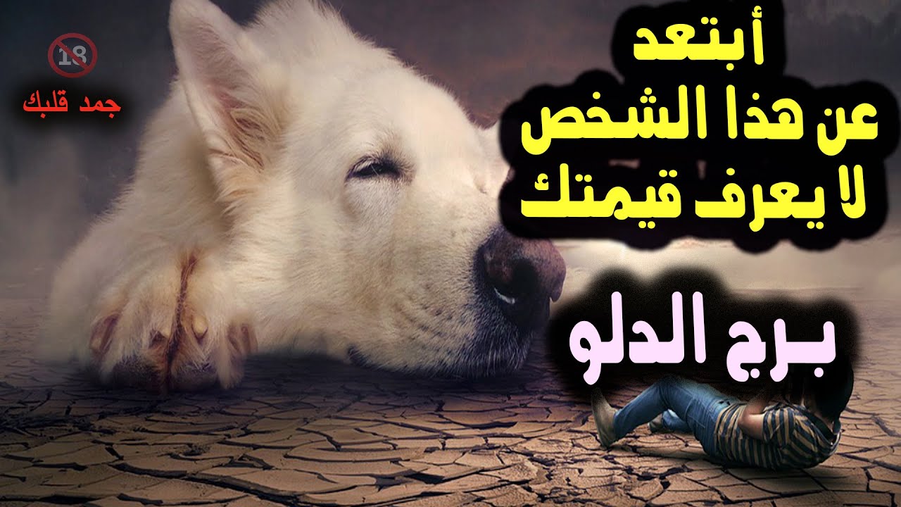 تاروت برج الدلو أبتعد عن هذا الشخص لا يعرف قيمتك / يوم 16 النصف من رمضان 2025 #ابراج #tamil