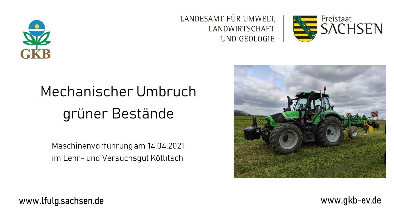 Mechanischer Umbruch grüner Bestände - Maschinenvorführung im Lehr- und Versuchsgut Köllitsch
