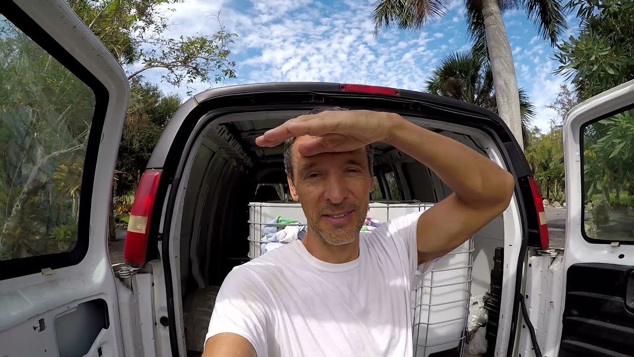 Trip to Predatory Fins, fish swap, soldier catfish, gulper, black ear, barbel, tarpon, hi fin loach