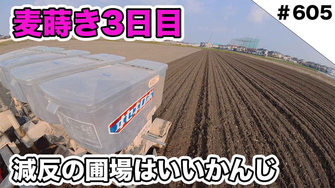 麦まき３日目　減反の圃場はいいかんじ