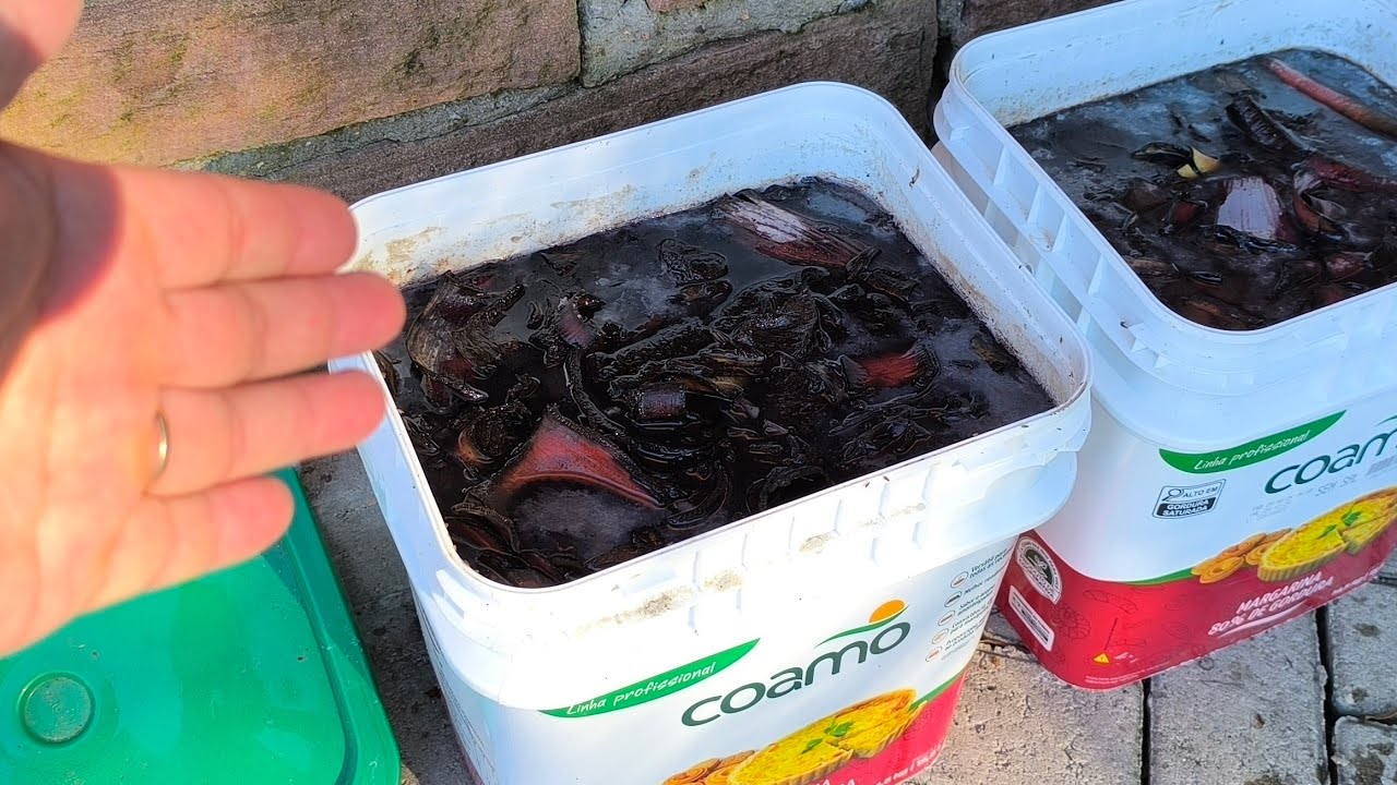 🔴 Aplicando Adubo de Bananeira e Fazendo Calda Bordalesa