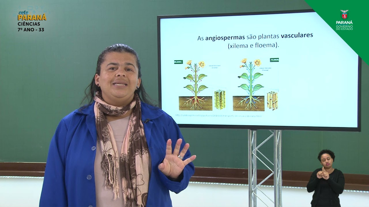 2021 | Resumo da Aula | 7&ordm; Ano | Ci&ecirc;ncias | Aula 33 - Angiospermas: Caracter&iacute;sticas Gerais