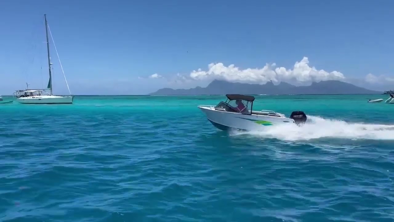STESSL BOAT 480 SPORTSMAN RUNABOUT