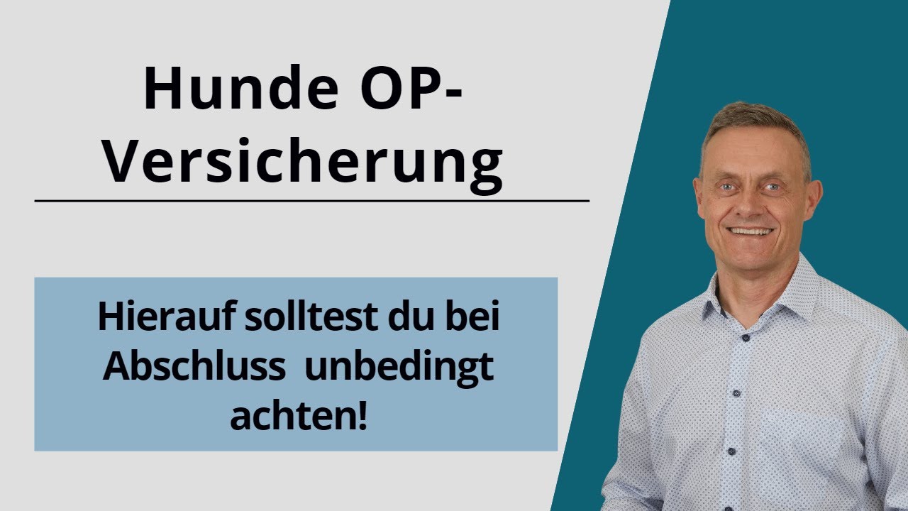 Hunde OP-Versicherung - darauf solltest du bei Abschluss achten!