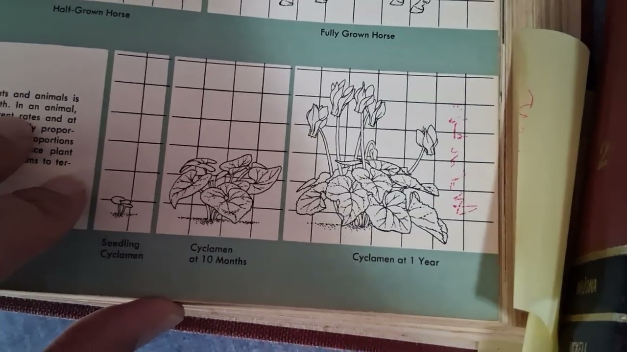 Old Encyclopedia! 