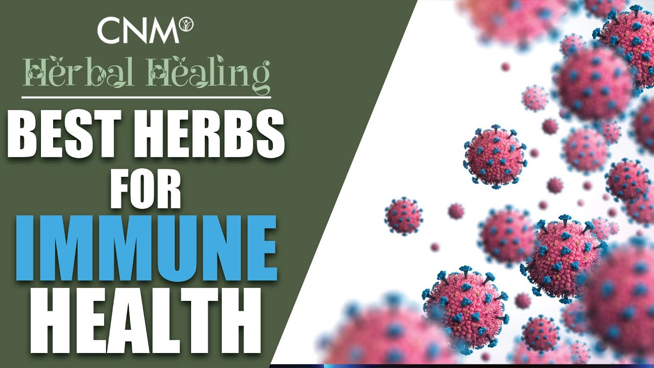 The Best HERBS for IMMUNE HEALTH!