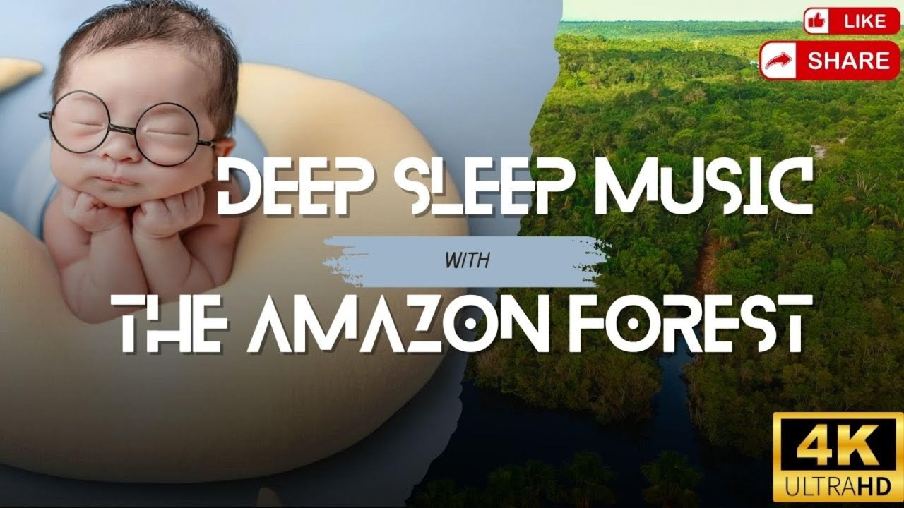Sleep in the Amazon Rainforest – Rain, Jungle Sounds & Healing Ambient Music l #StressReliefMusic