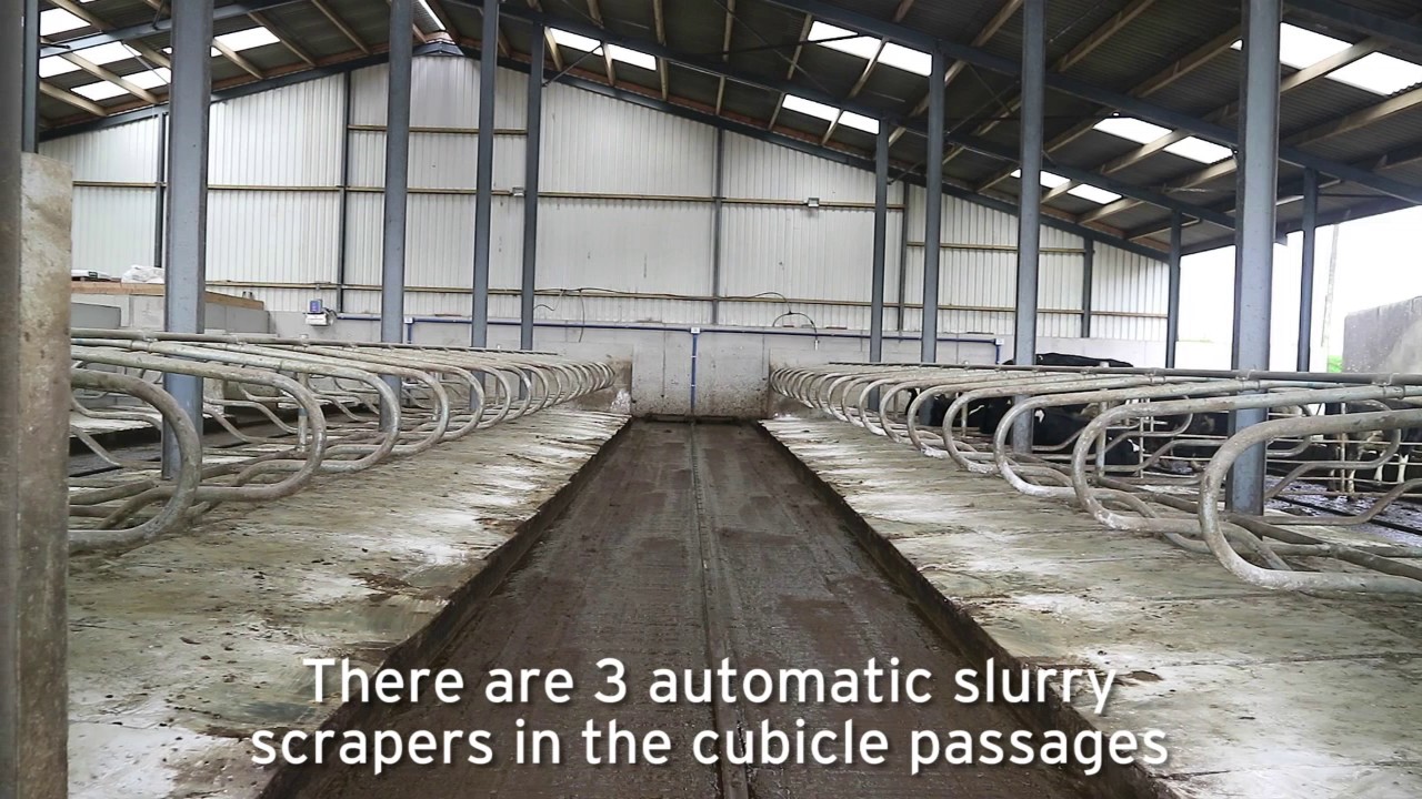 Bang for buck with this combined dairy unit