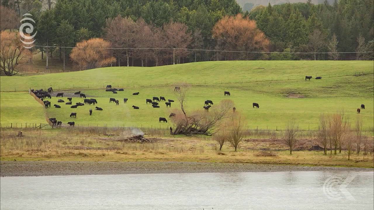 Hawke's Bay Regional Council chairman on water contamination