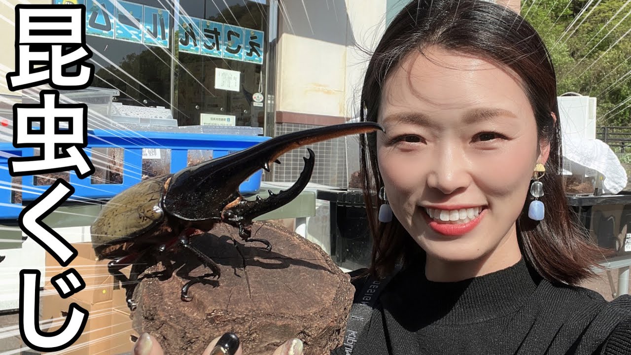 【昆虫くじ】準レギュラーの「あの人」に呼び出されて行ってみたら...