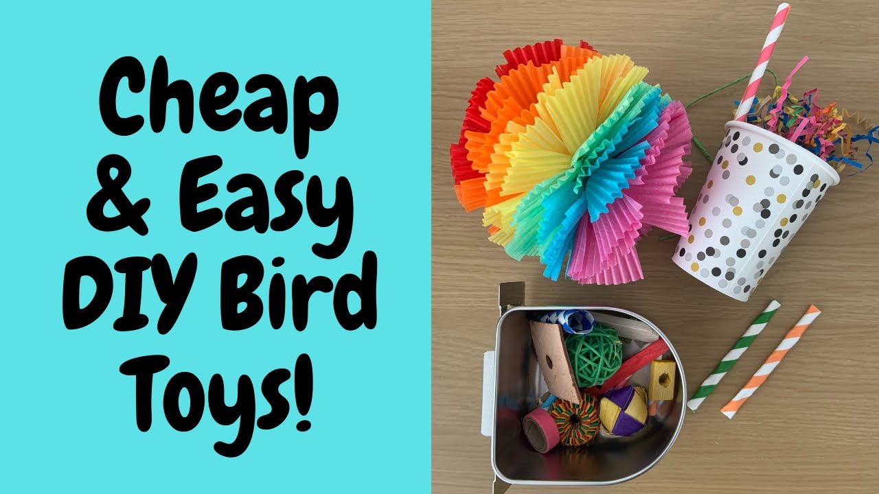 Cheap and Easy DIY Parrot Toys #2 | BirdNerdSophie