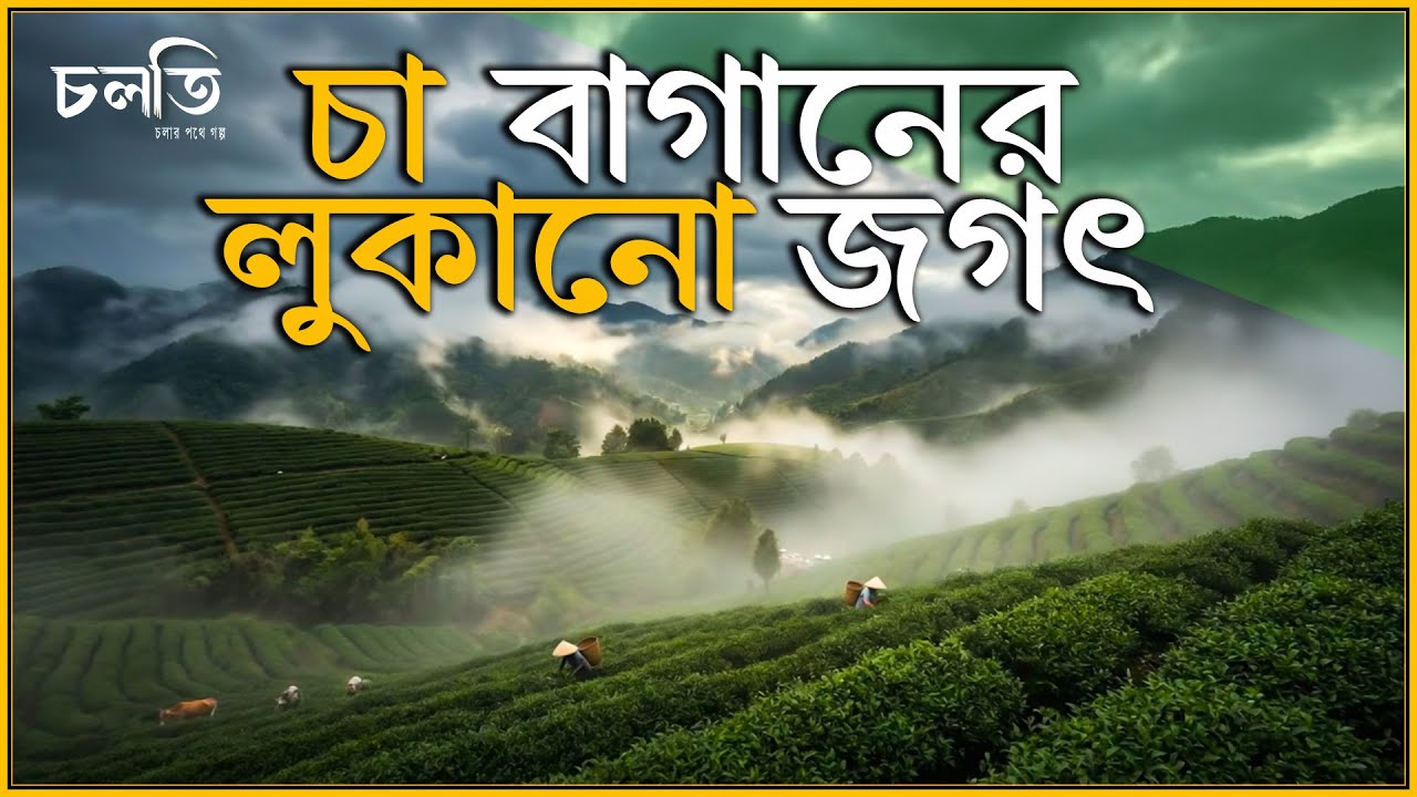 ২২ ধাপের পর আপনার টেবিলে আসে | চলতি