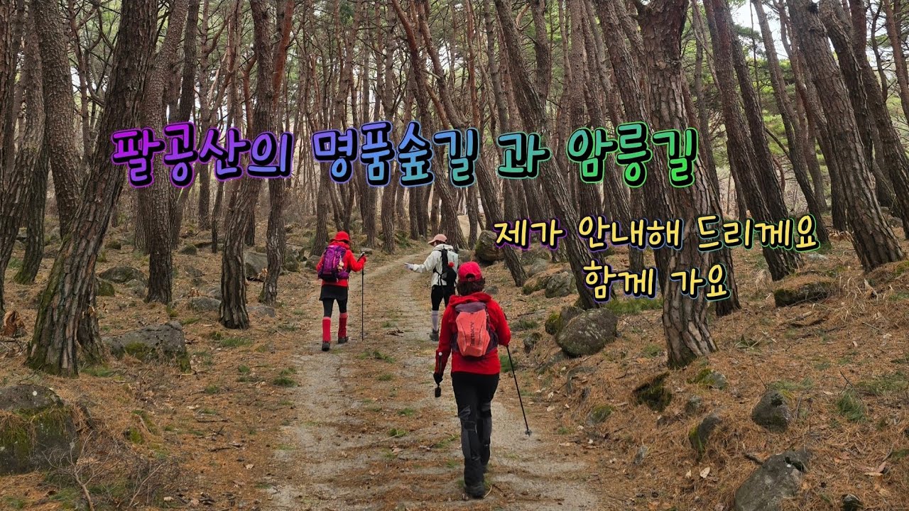 #팔공산의 명품 솔숲길 과 멋진 암릉을 즐길수 있는 코스