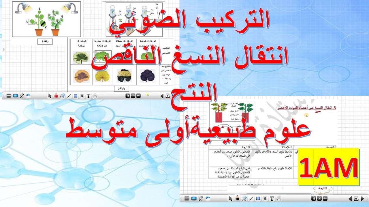 ملخص التركيب الضوئي .نقل النسغ الناقص .النتح .علوم طبيعية الأولى متوسط