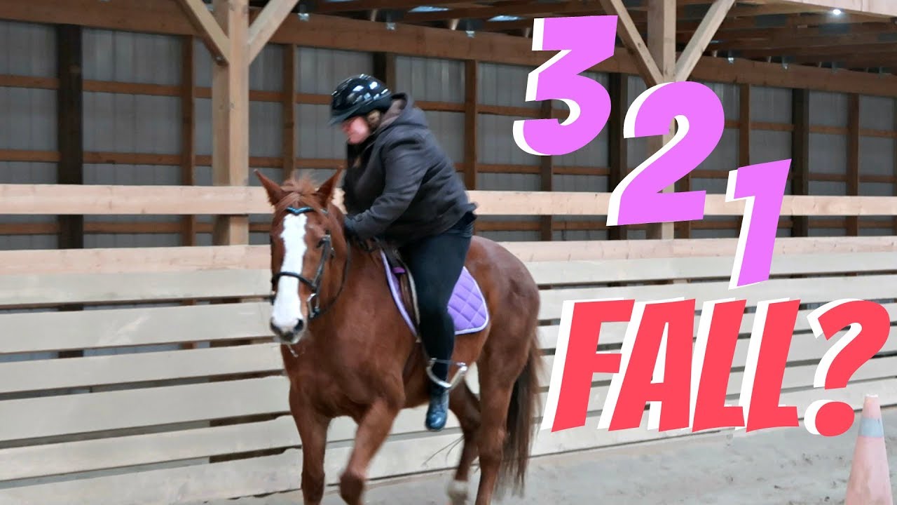 FIRST TIME RIDING WITHOUT STIRRUPS! Day 072 (03/13/18)