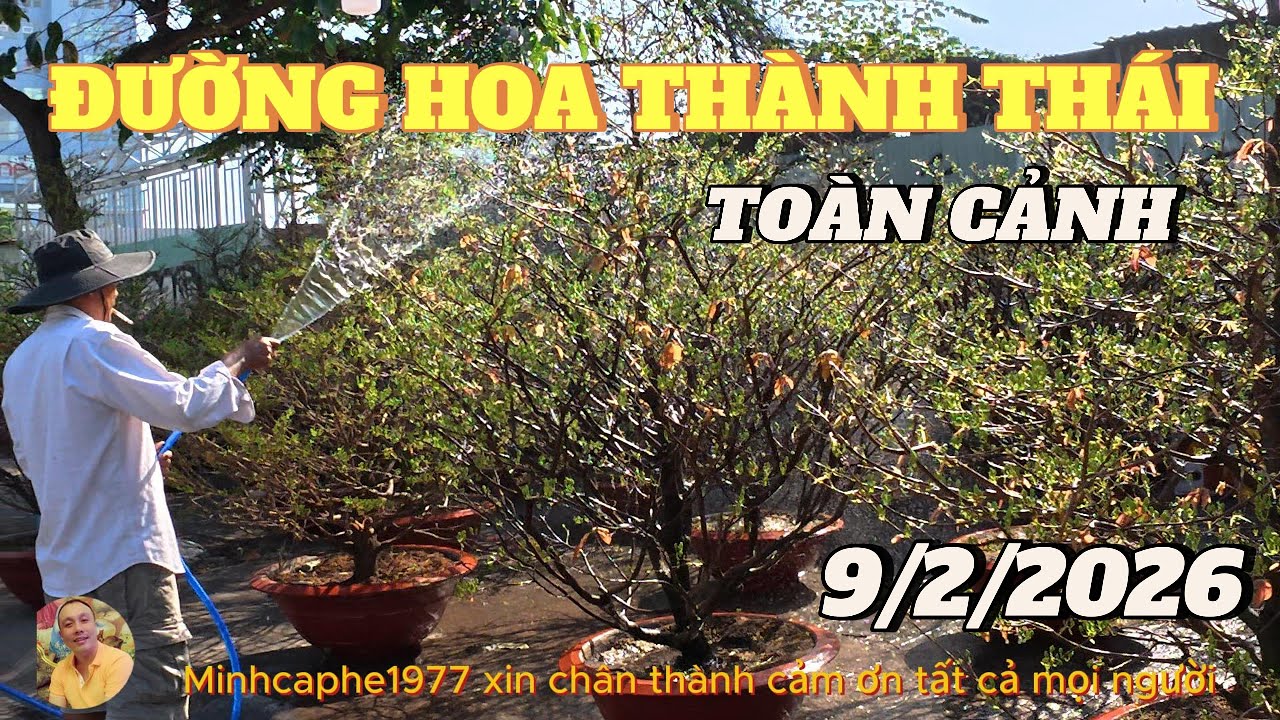 ĐƯỜNG HOA TẾT THÀNH THÁI..QUẬN 10....9/2/2026