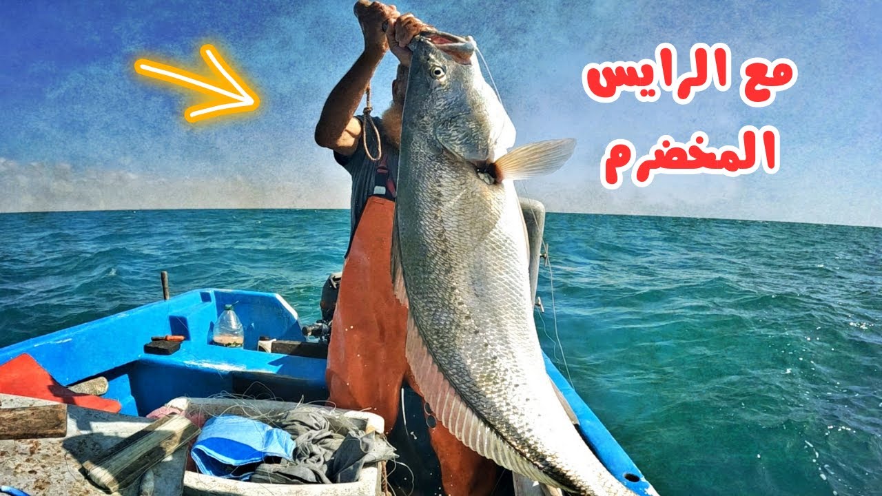 صيد الأسماك العملاقة  بتقنية الصنارة على متن القارب مع الرايس كشتور