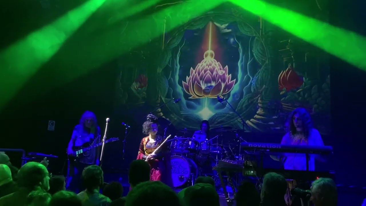 Ozric Tentacles live at Pozzuoli April 2 2025 part 2