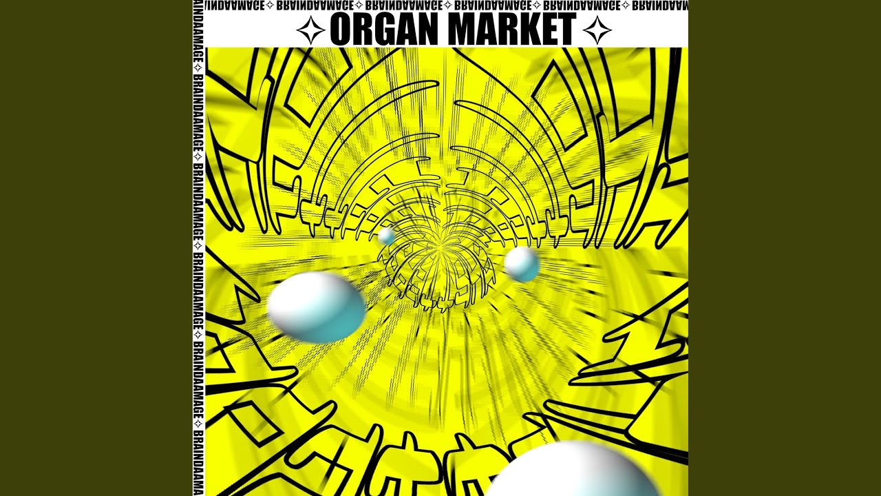 Organ Market
