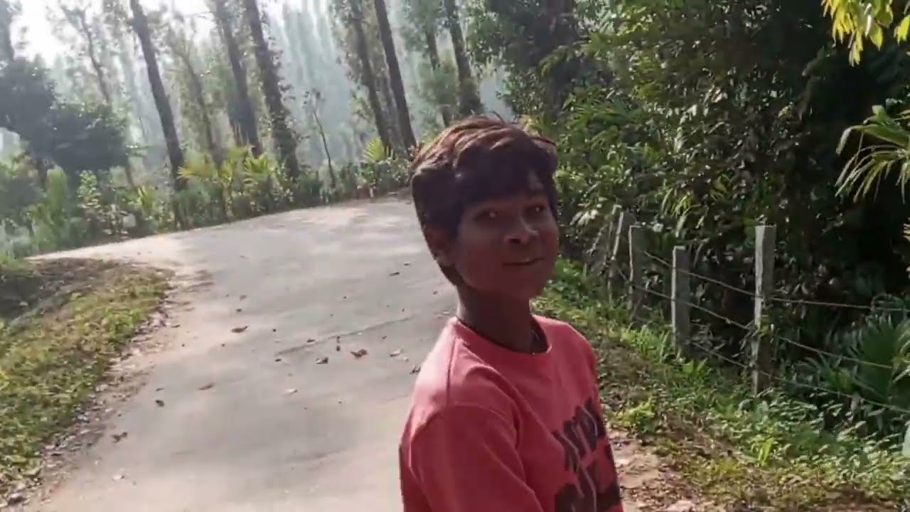 সুন্দর পাহাড়ি রাস্তা এবং সবুজ পরিবেশকে সুন্দরভাবে ফুটিয়ে তোলা হয়েছে।​আকর্ষণীয় টেক্সট: 