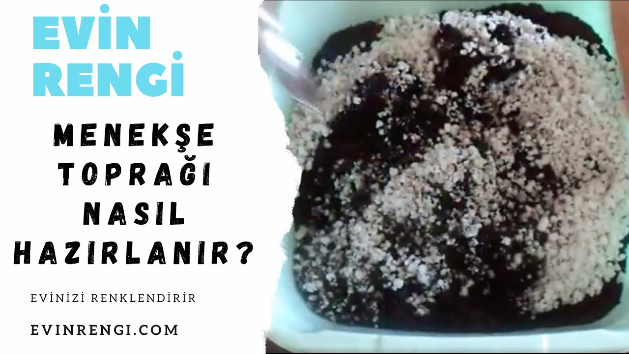 175. Menekşe Toprağı Nasıl Hazırlanır?