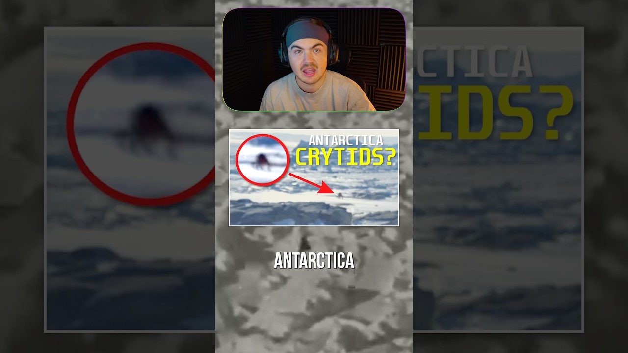 &iquest;Qu&eacute; se esconde en la Ant&aacute;rtida? #cr&iacute;ptidos #scp #horror #monstruosmarinos #secretosdesenterrados...