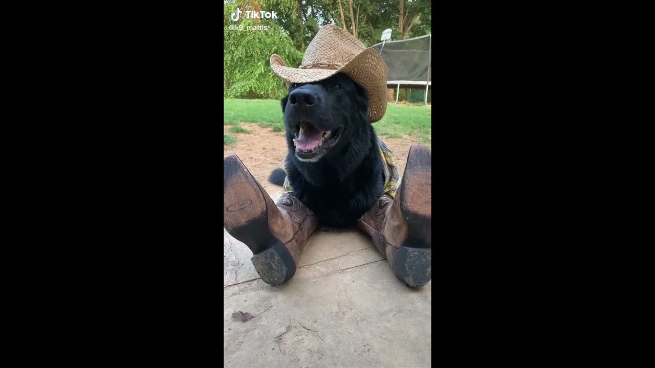 THOMAS MAC - Countryfied (Official Music Video)