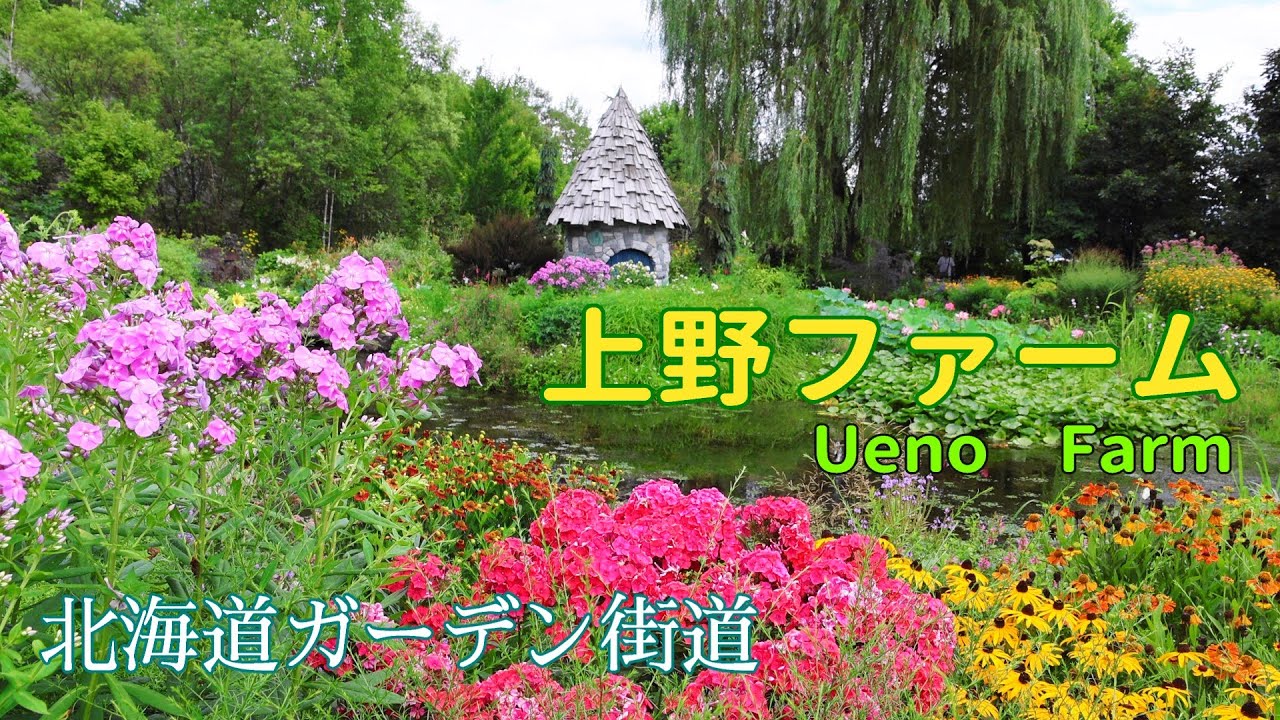 北海道ガーデン街道②上野ファーム 2025年8月10日 [4K] Hokkaido Garden Way Ⅱ Ueno Farm #北海道ガーデン街道 #ガーデン #garden #北海道 