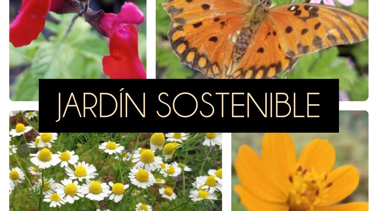 TAREAS  HUERTOJARDIN #lasplantasdegeral #plantas #garden #flores #flowers #jardin #naturaleza #plant