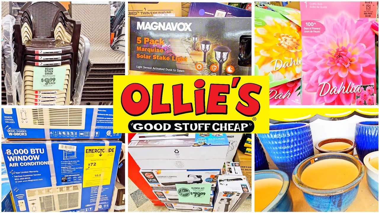 OLLIE'S BARGAIN OUTLET SUMMER & OUTDOOR FINDS 2024
