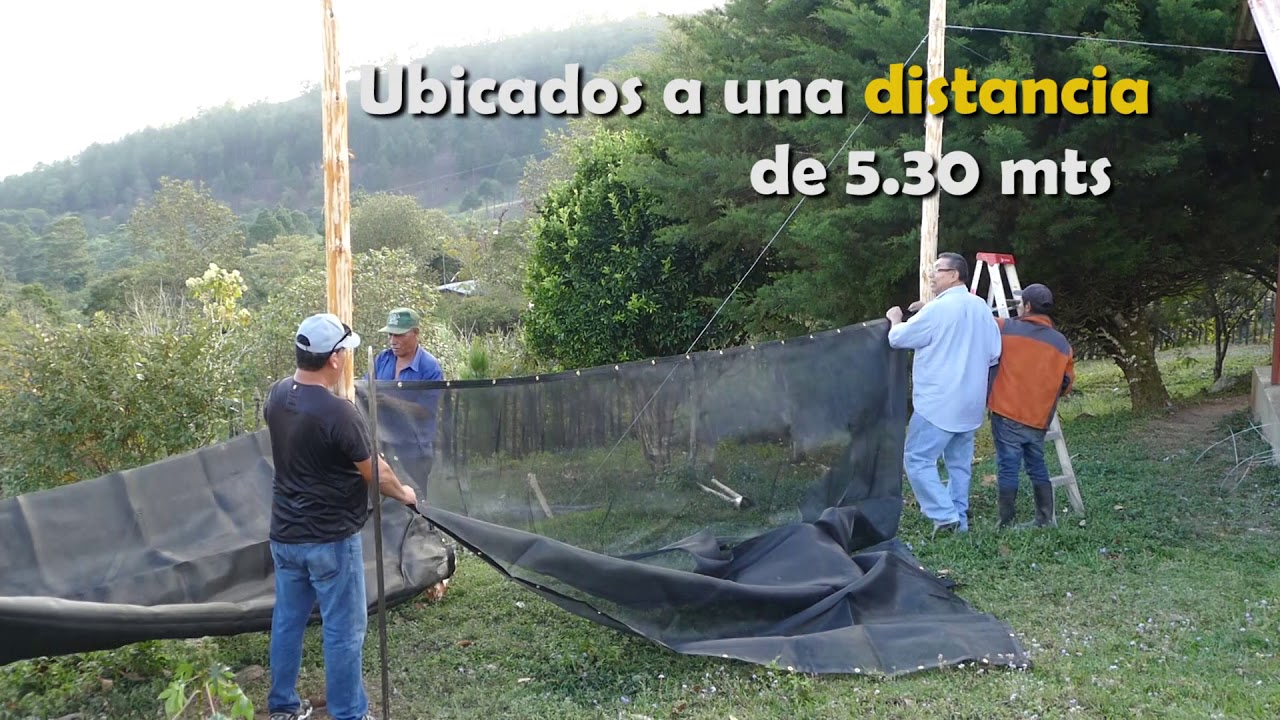 ¿Cómo recolectar agua con la niebla?