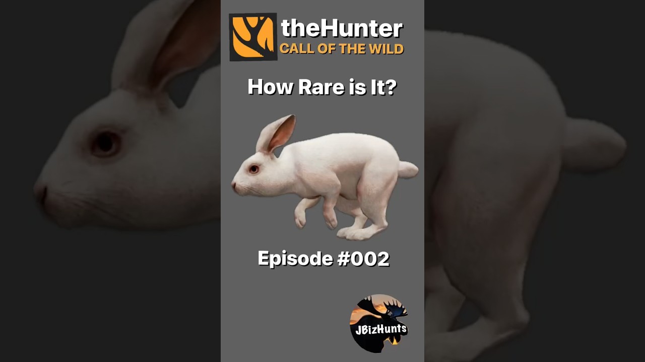 How Rare Is It? Albino European Rabbit | Episode 002 #thehuntercallofthewild #thehuntercotw #cotw