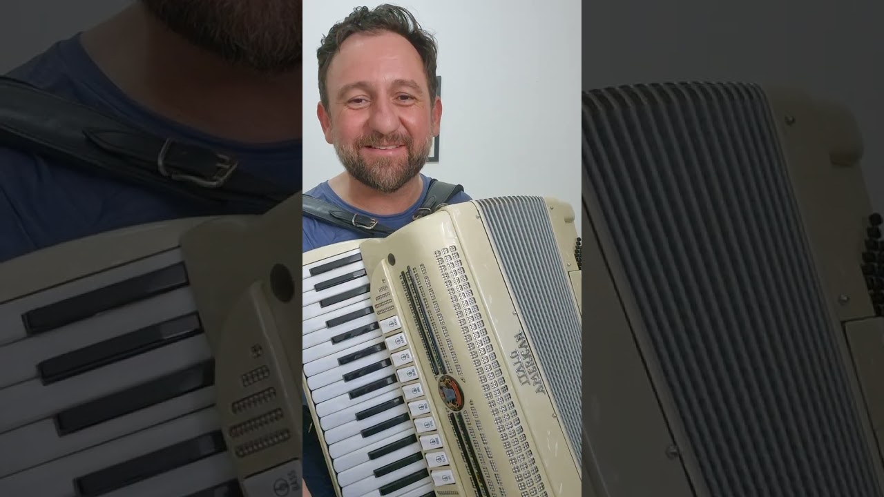 Acordeon Italo American 4/5 de voz 120 baixos profissional a venda
