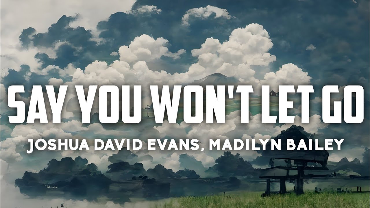 Say You Won't Let Go - Madilyn Bailey, Joshua David Evans | Lyrics | Dreamsio