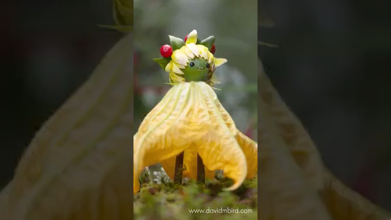 Бекорнс - Леди Гурделия